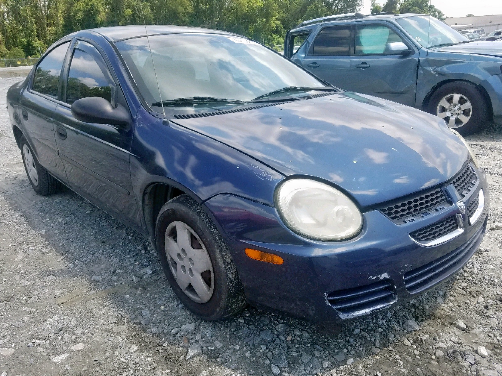 46003839