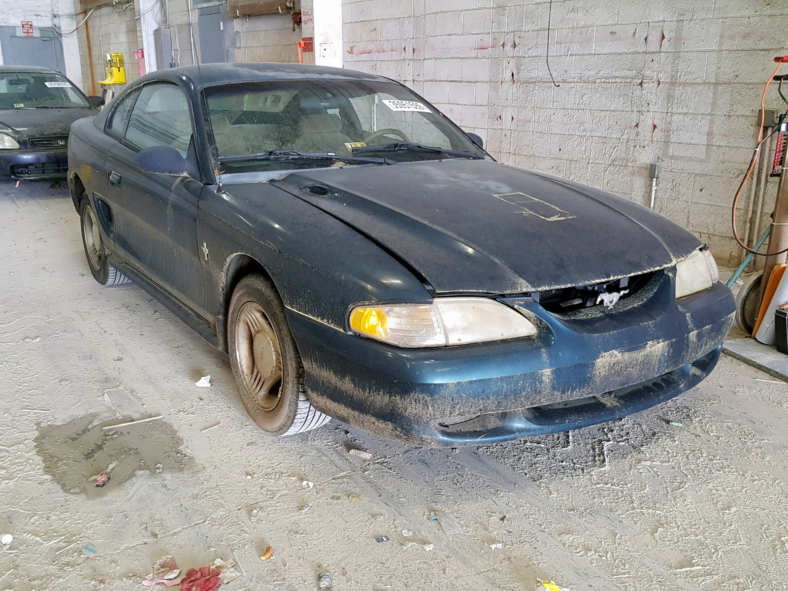 35951599