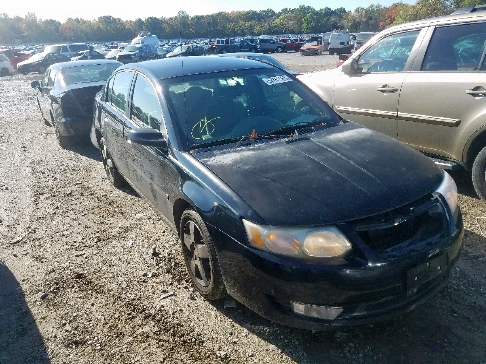 53151559