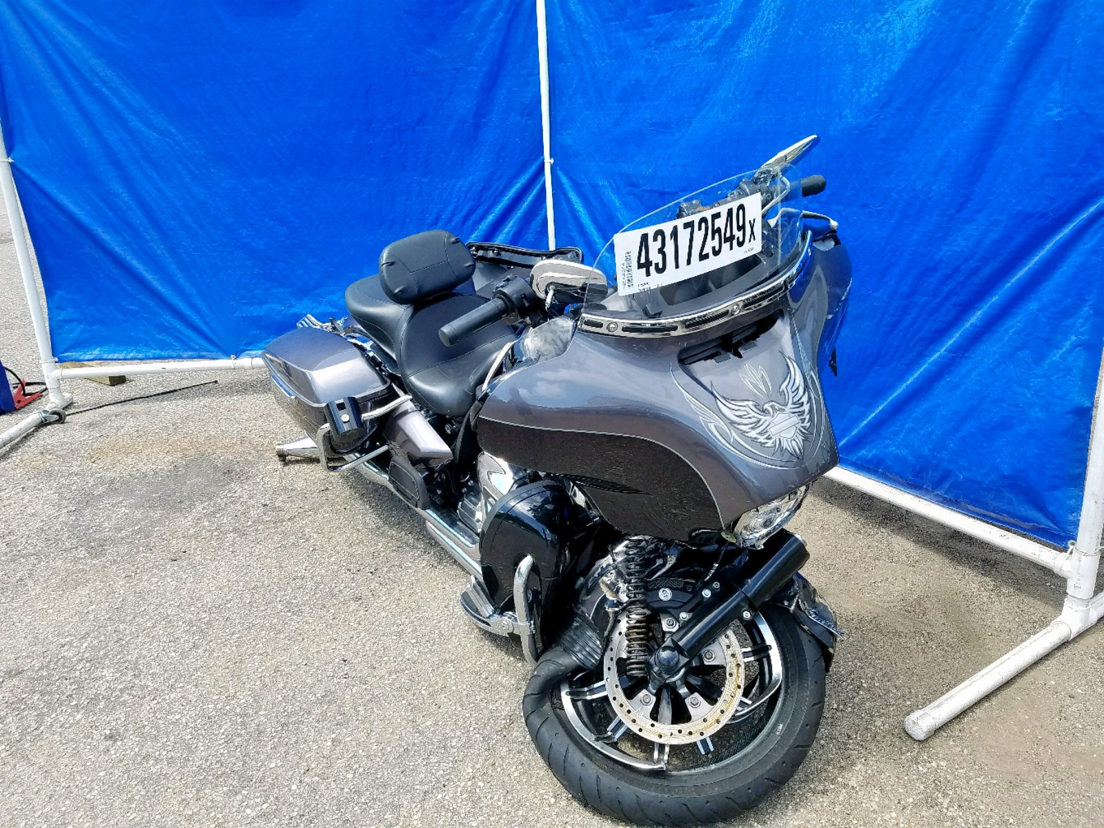 43172549