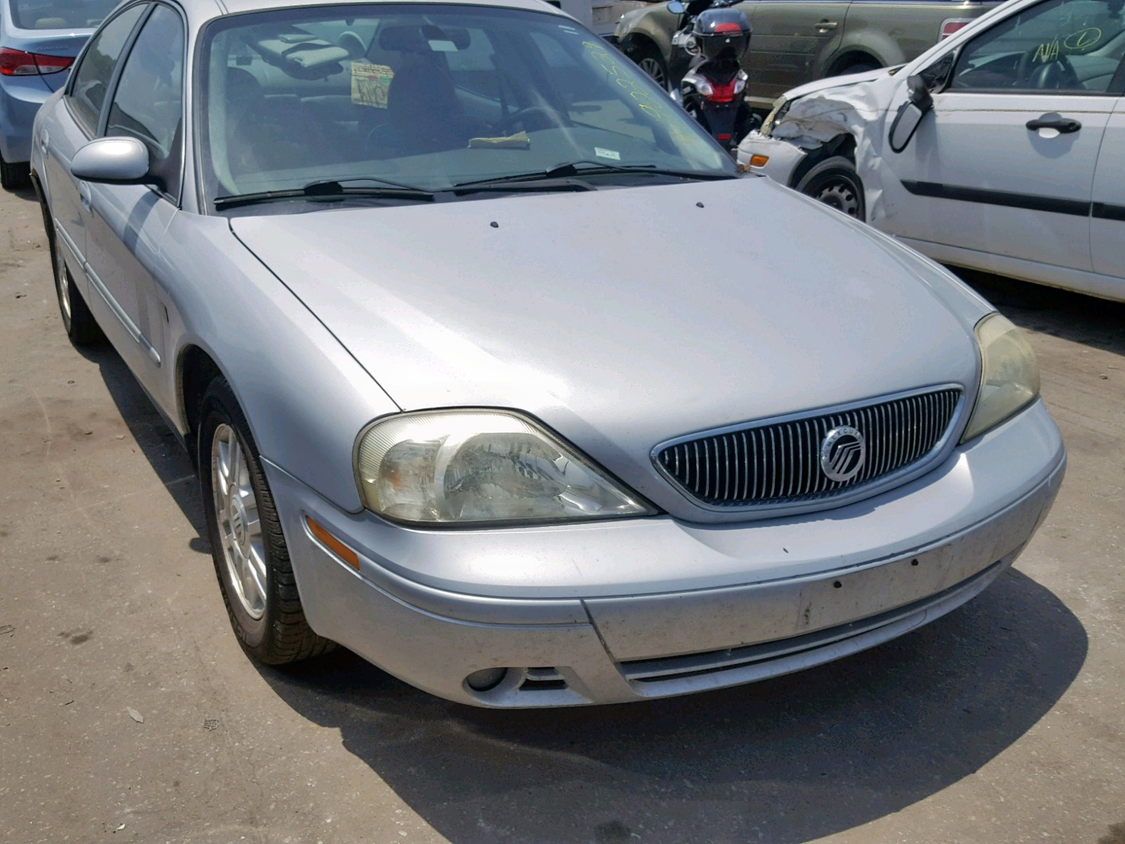 41902529