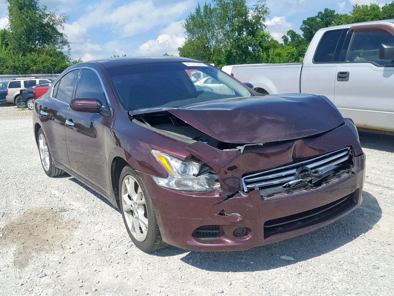 41673229