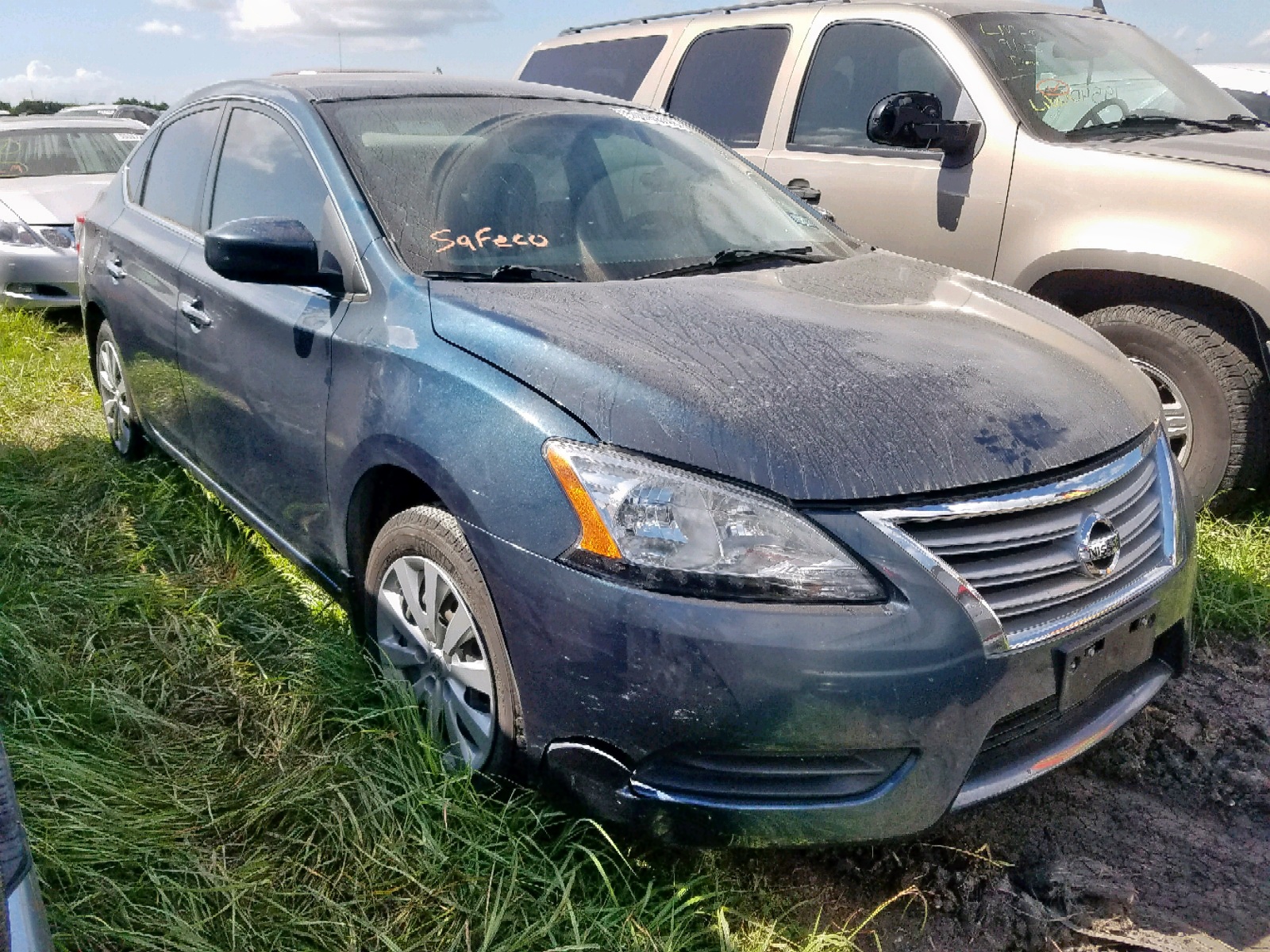 50099749