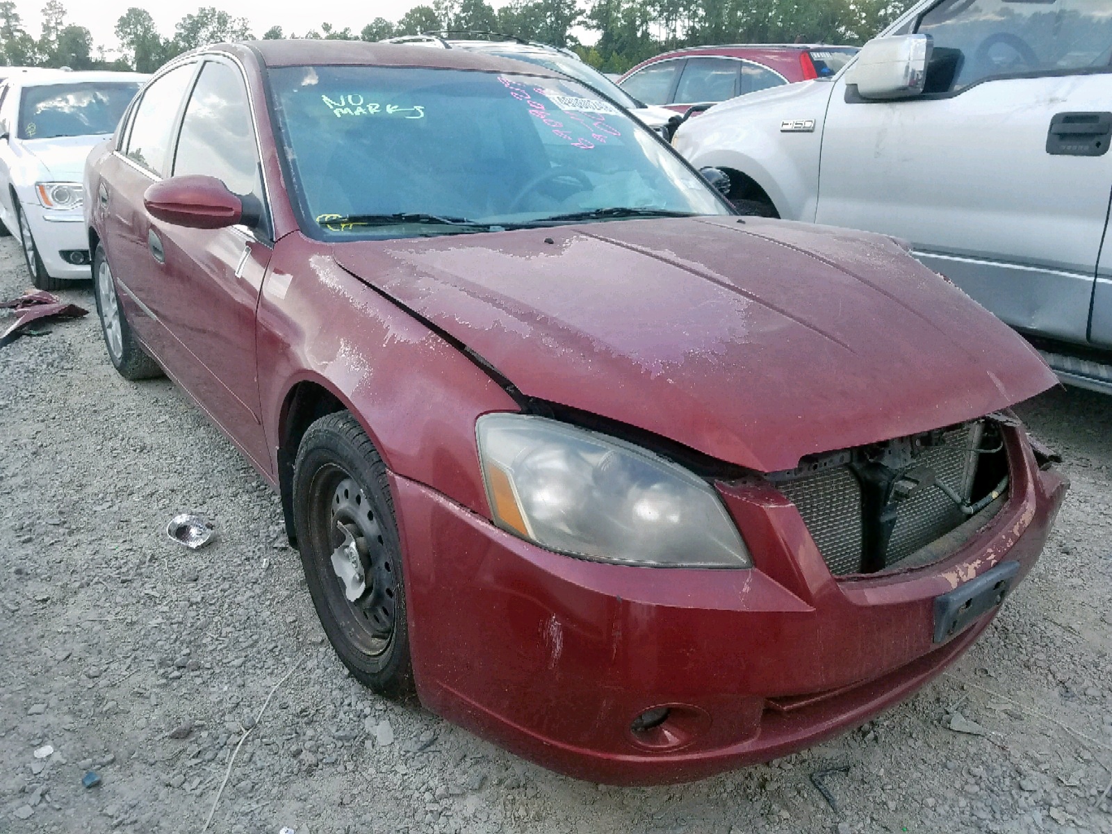 49060249