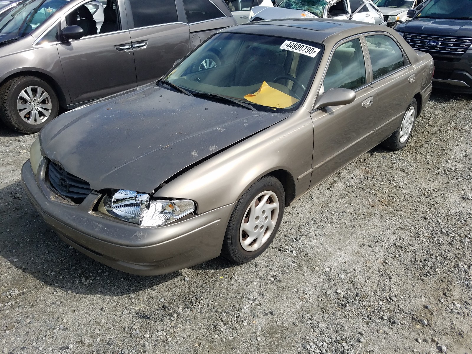 44980790