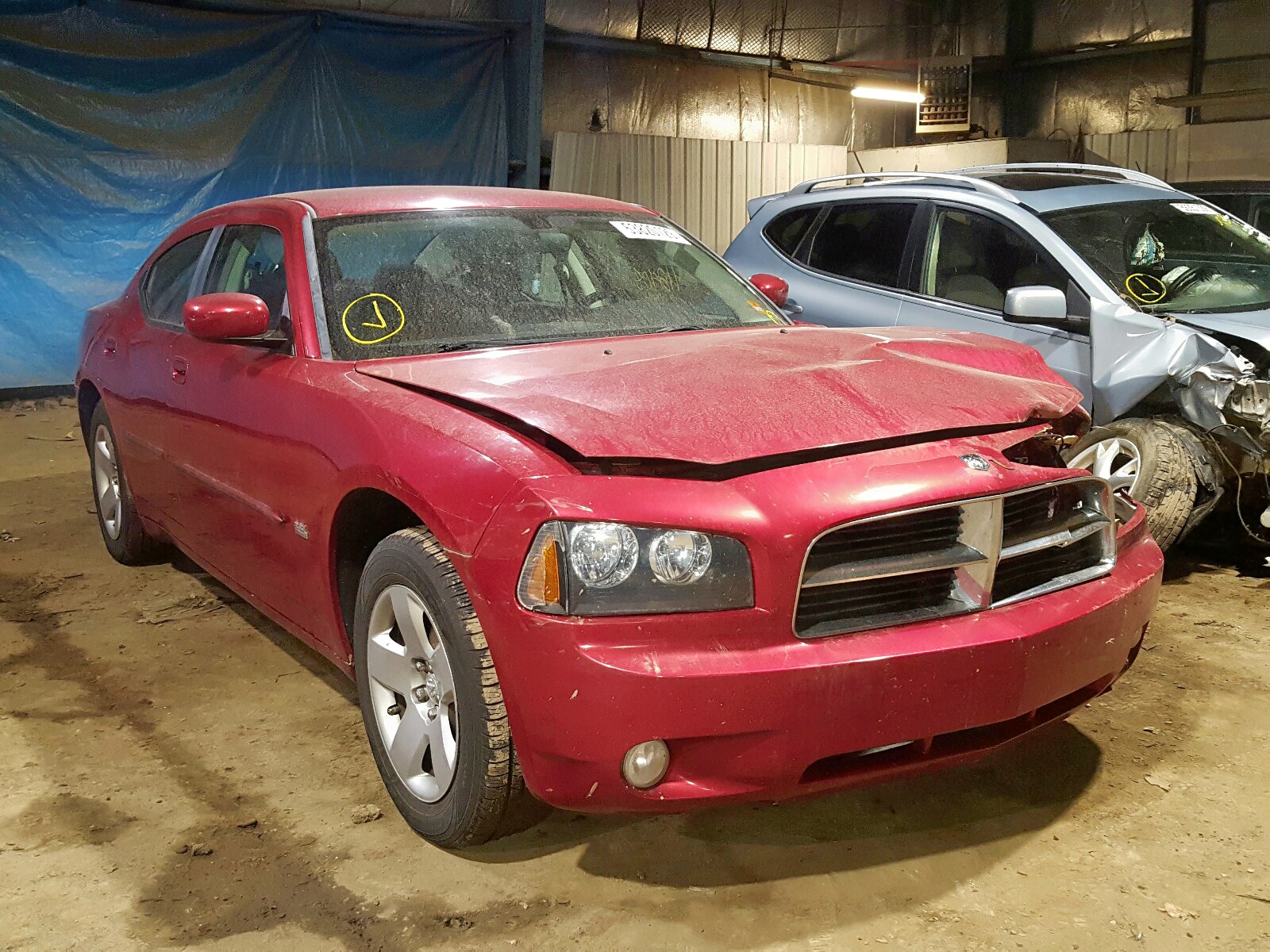 53820129