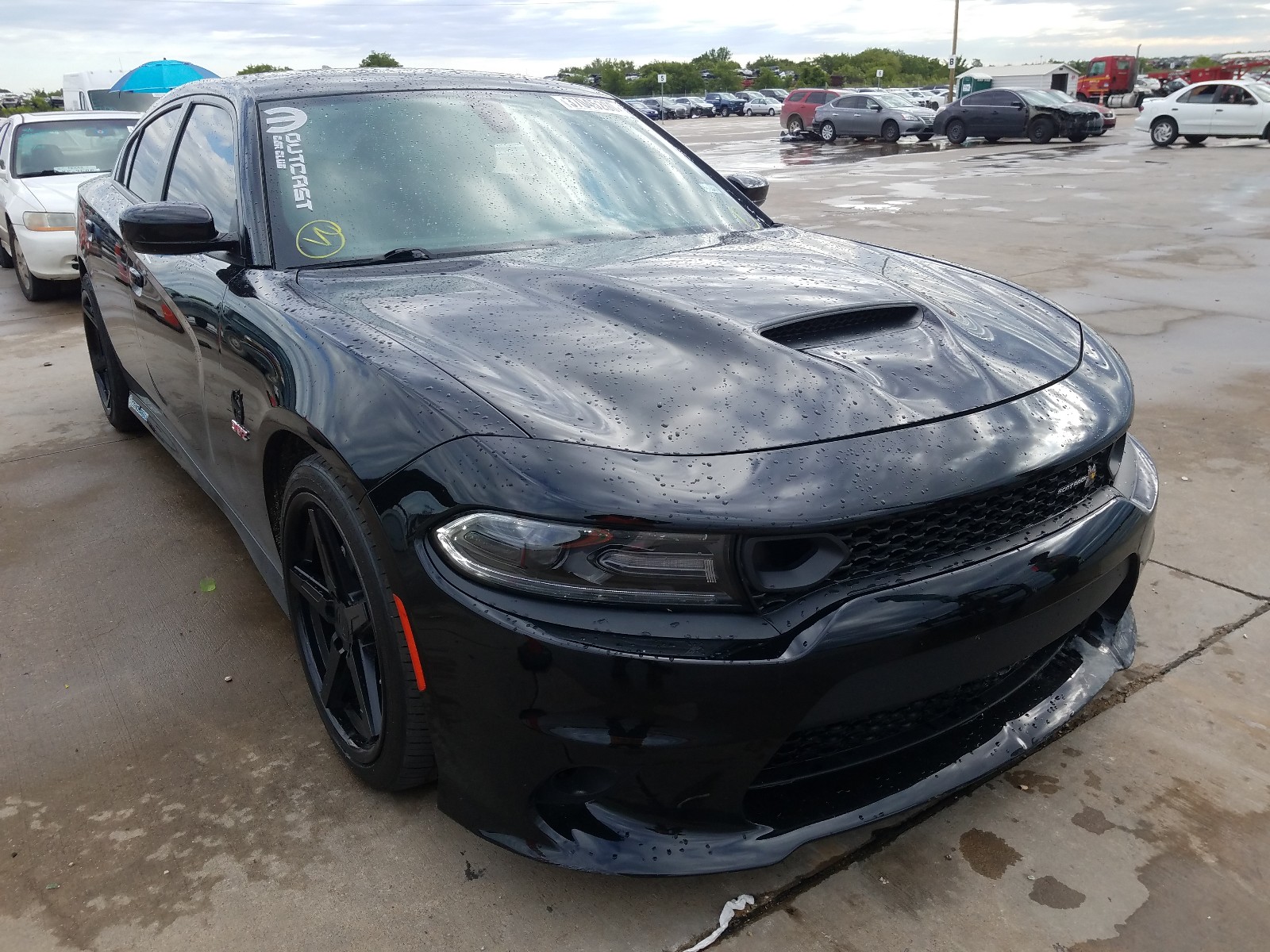 37045260