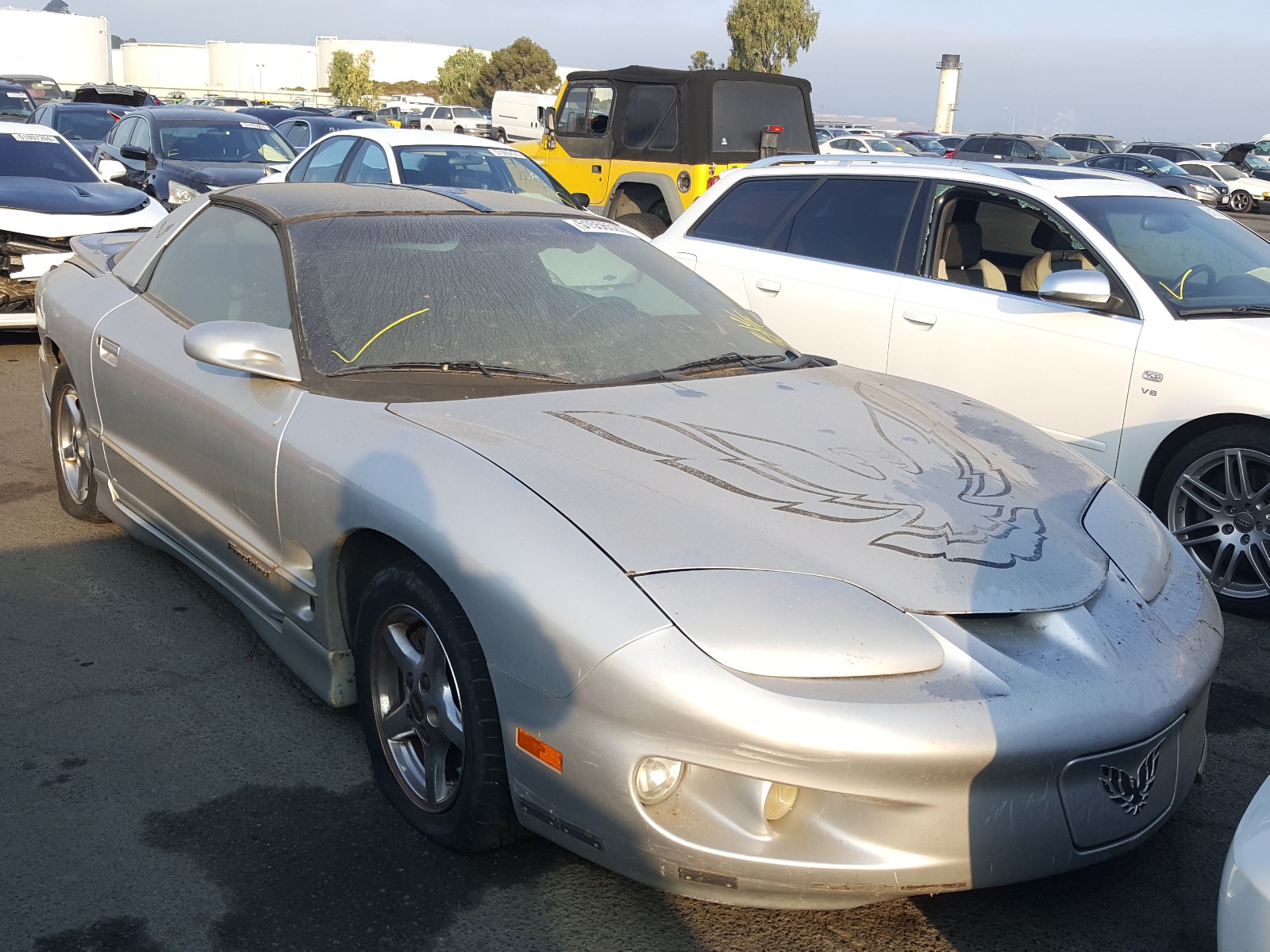 51556520