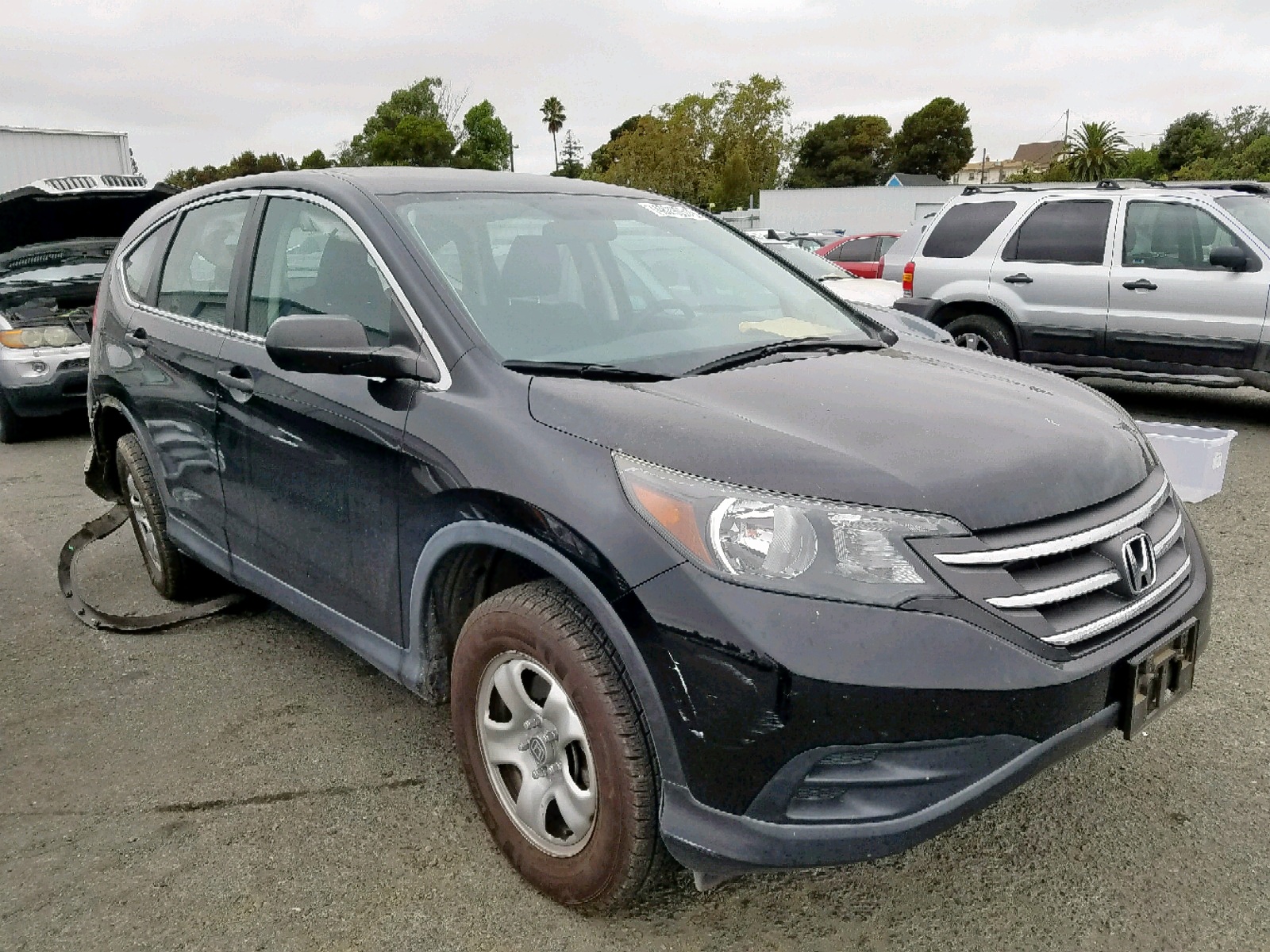 48290579