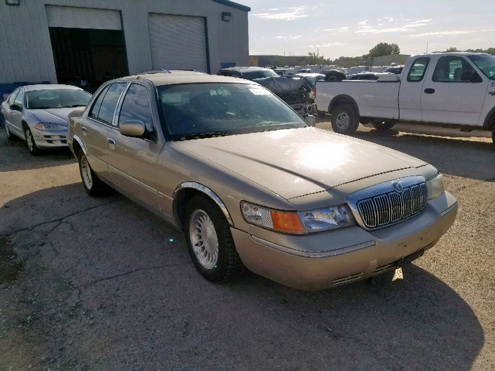 51948069