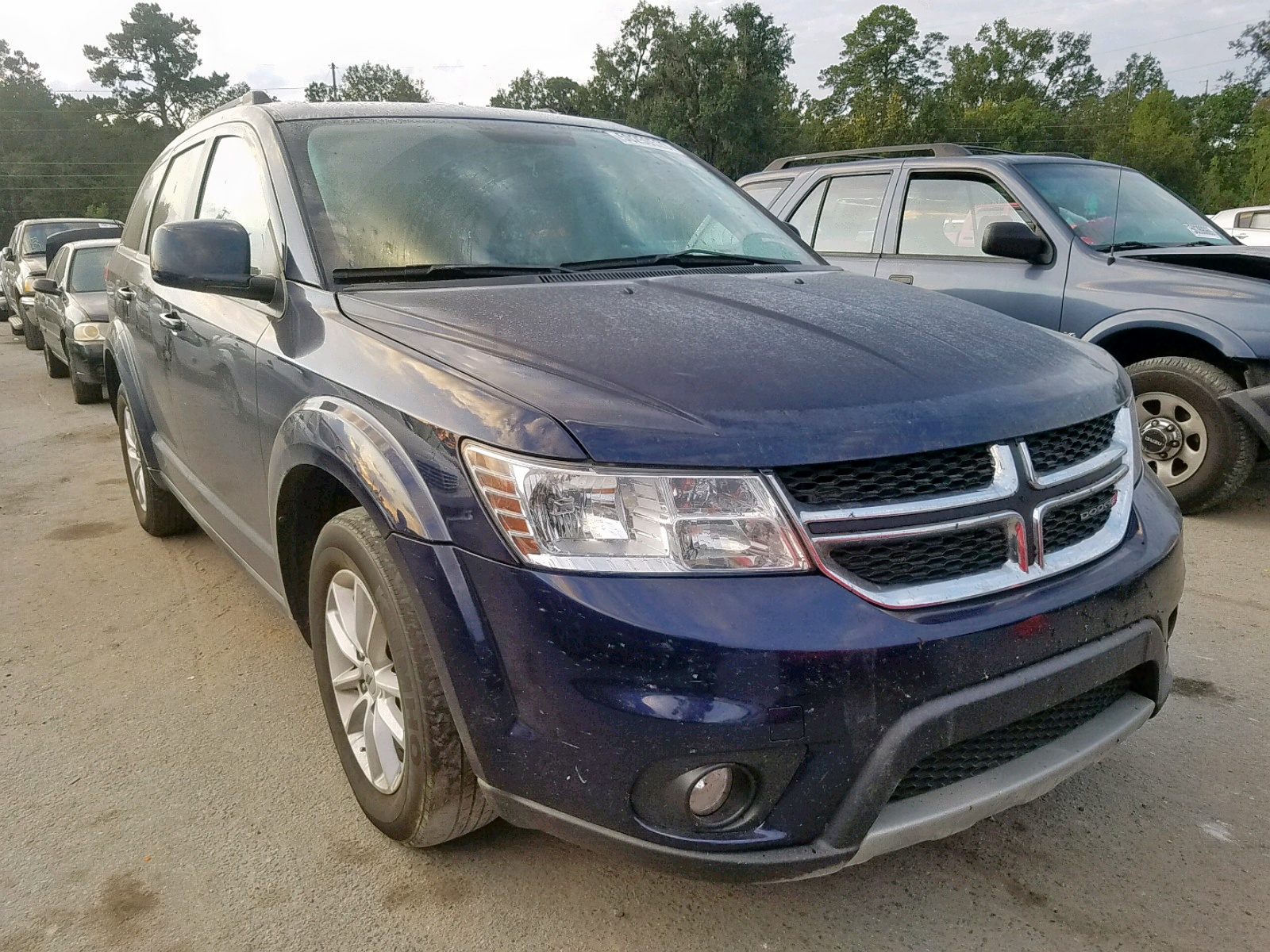50250529