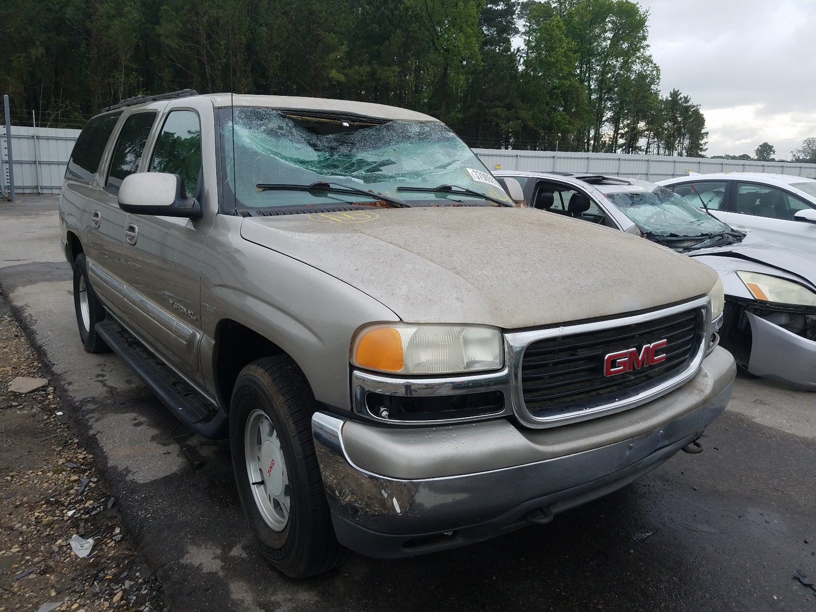 37005070