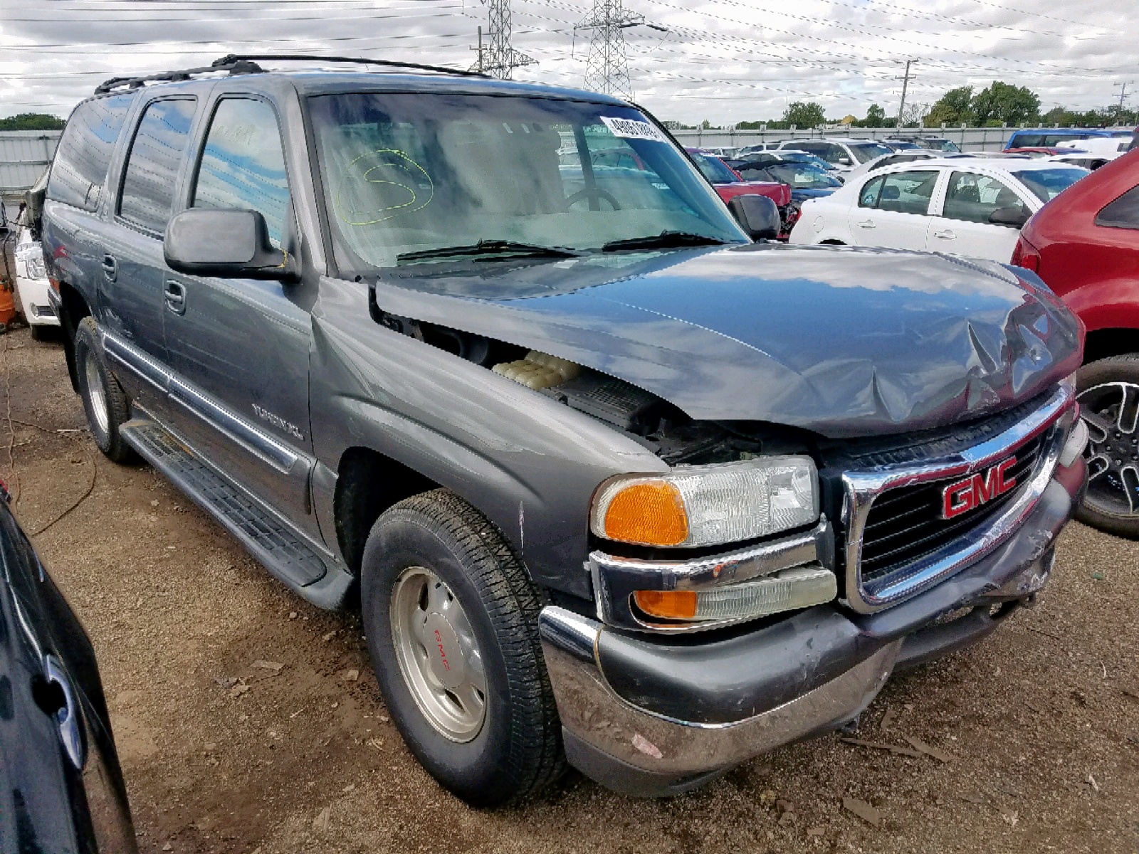 49061849