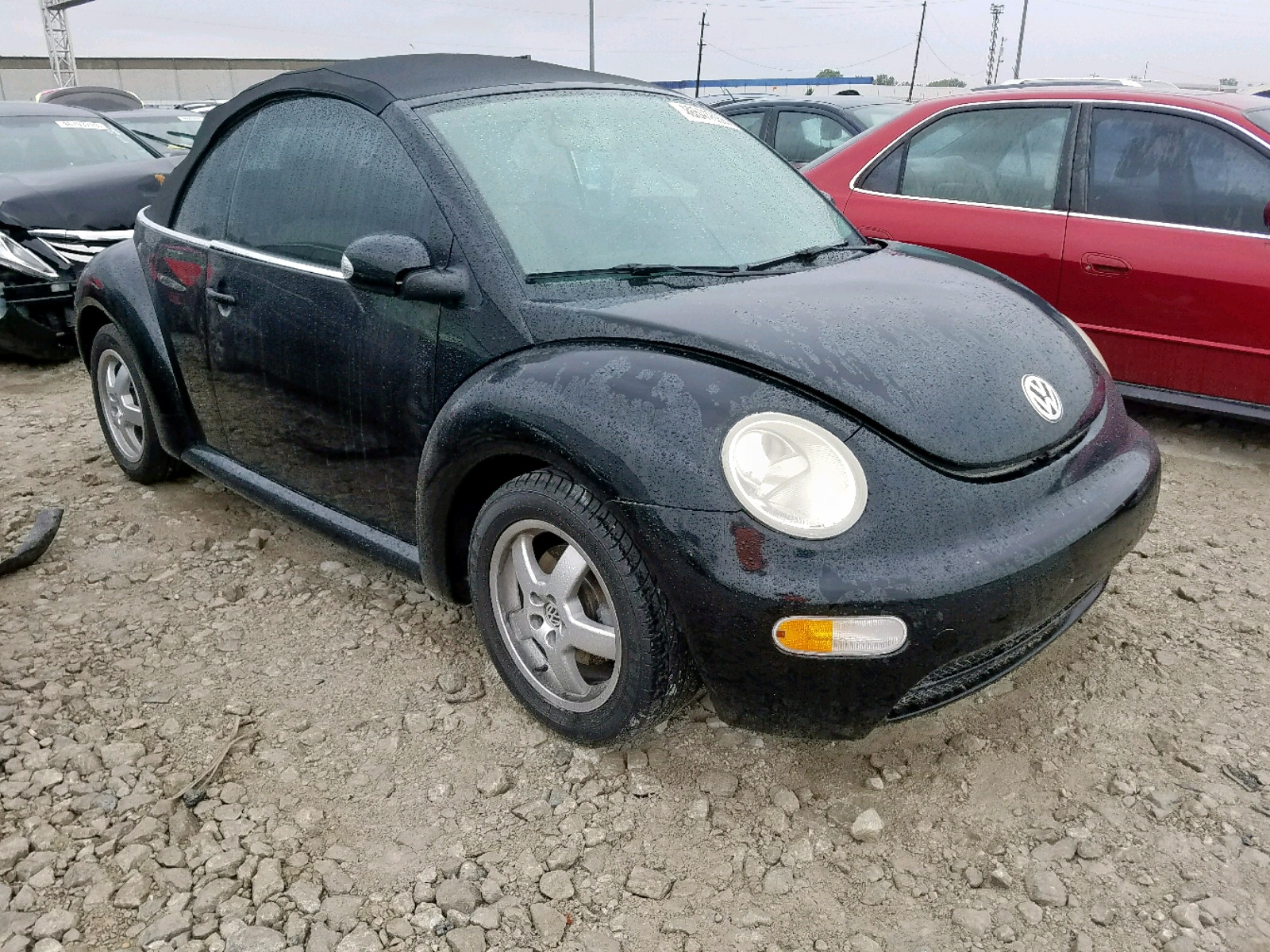 46541699