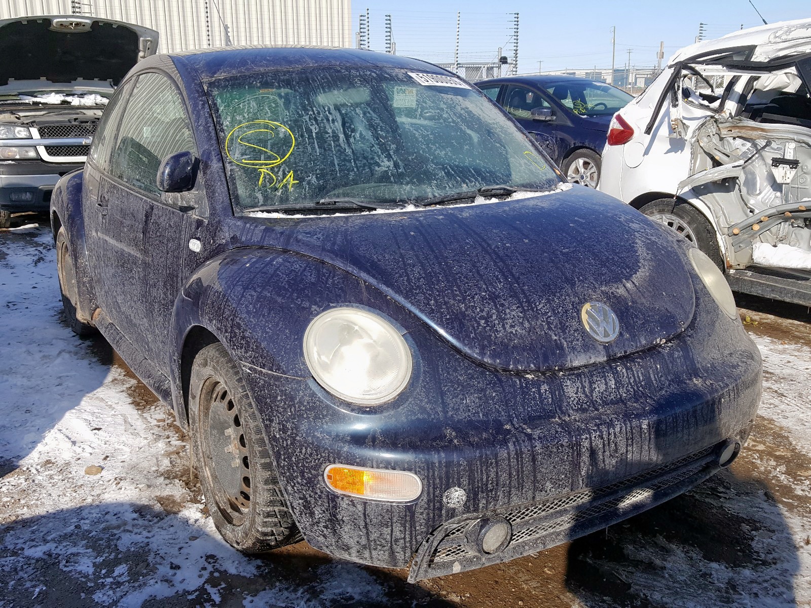 51900059