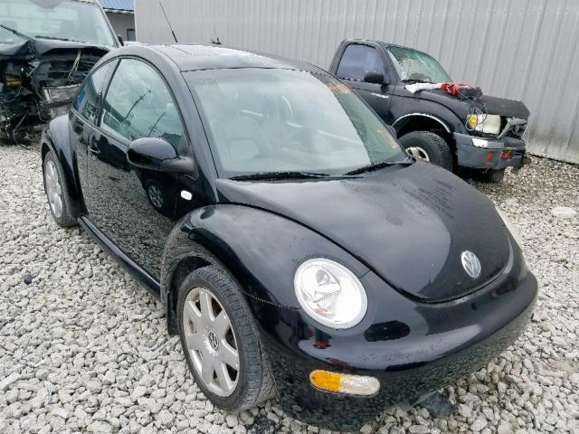 54453009