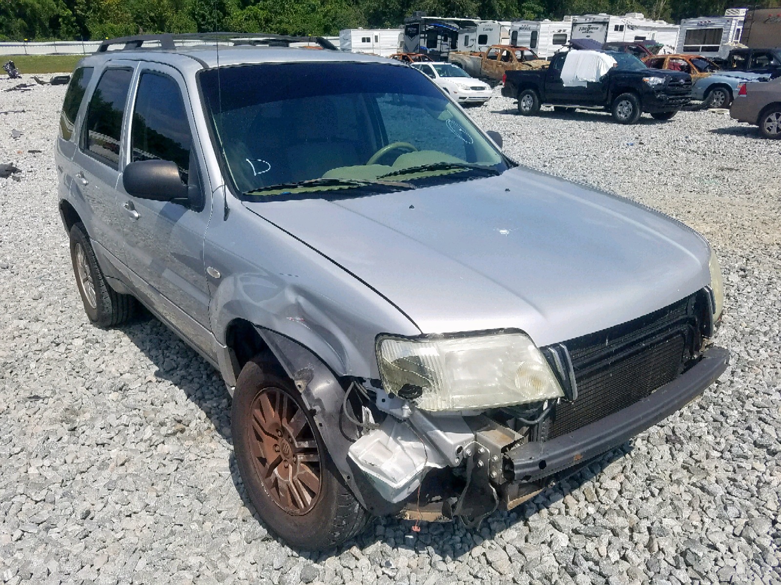 49057869