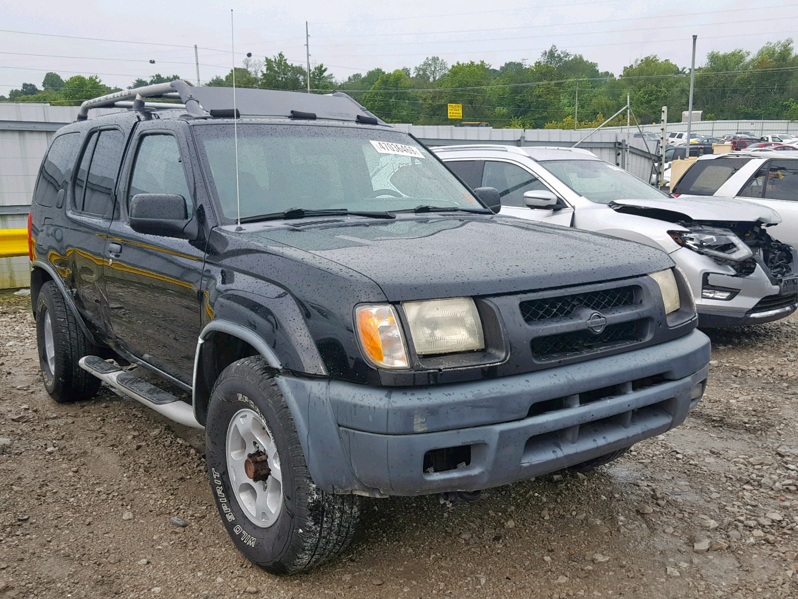 47036469