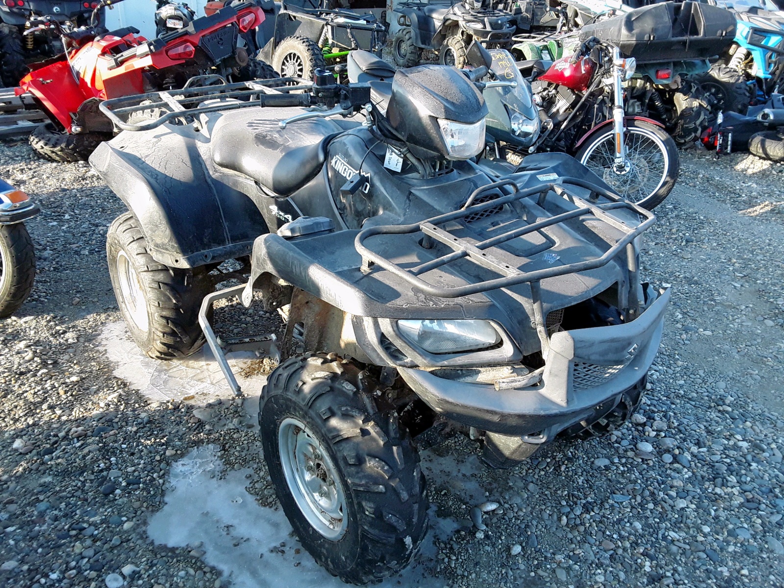 51303779