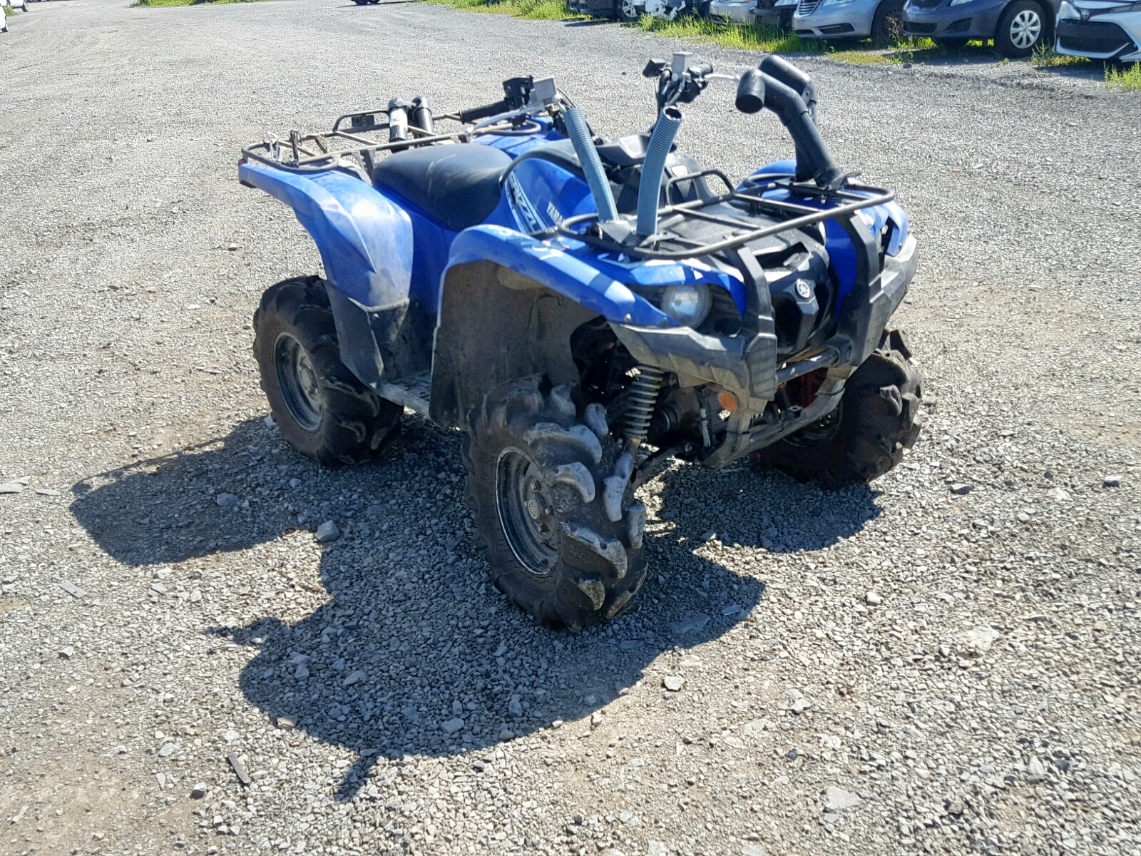 46154709