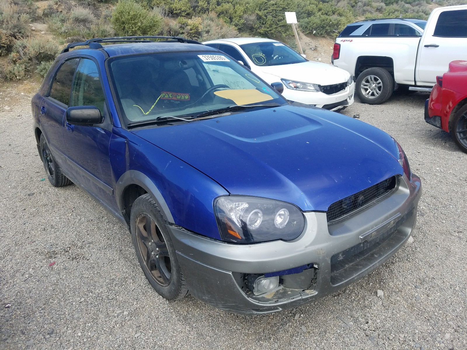 37505280