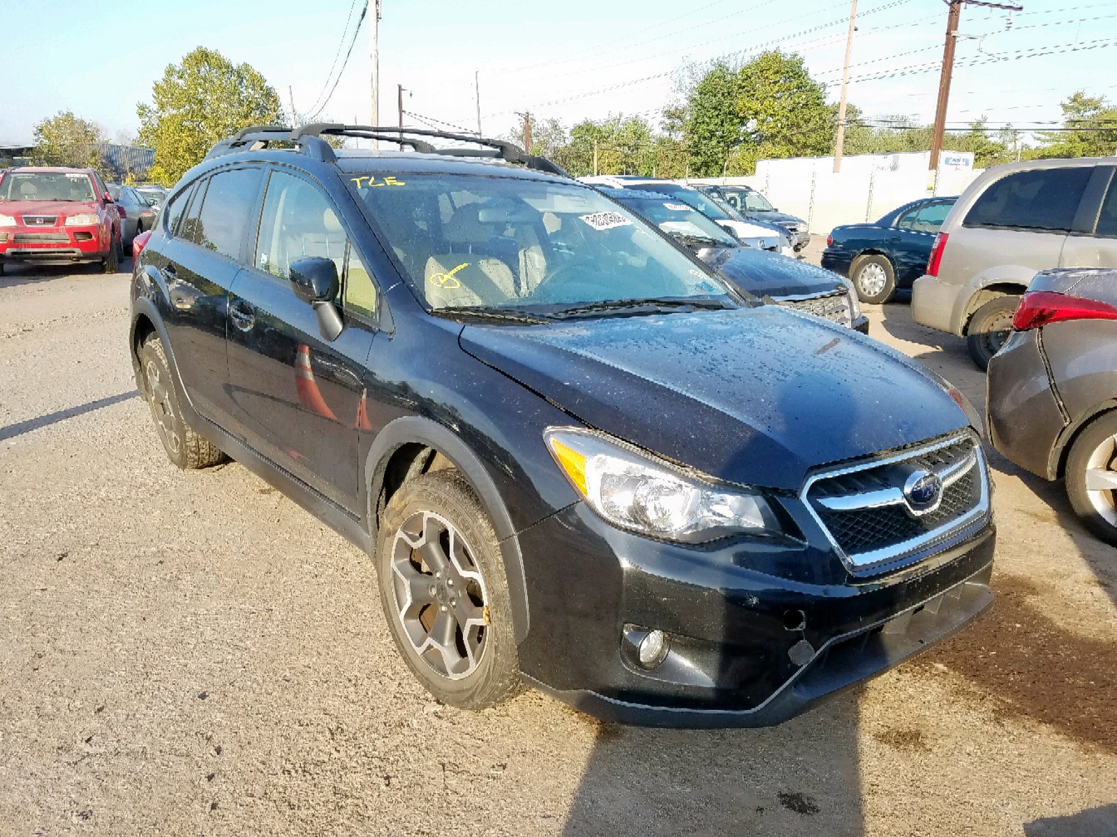 50324589