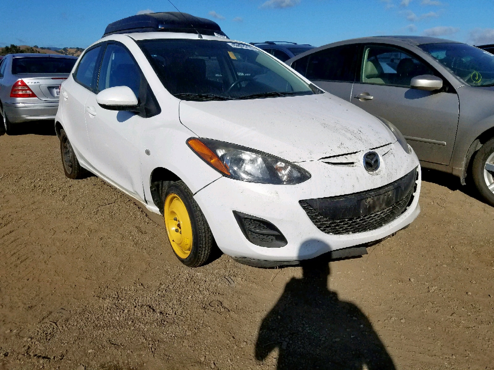 49685219