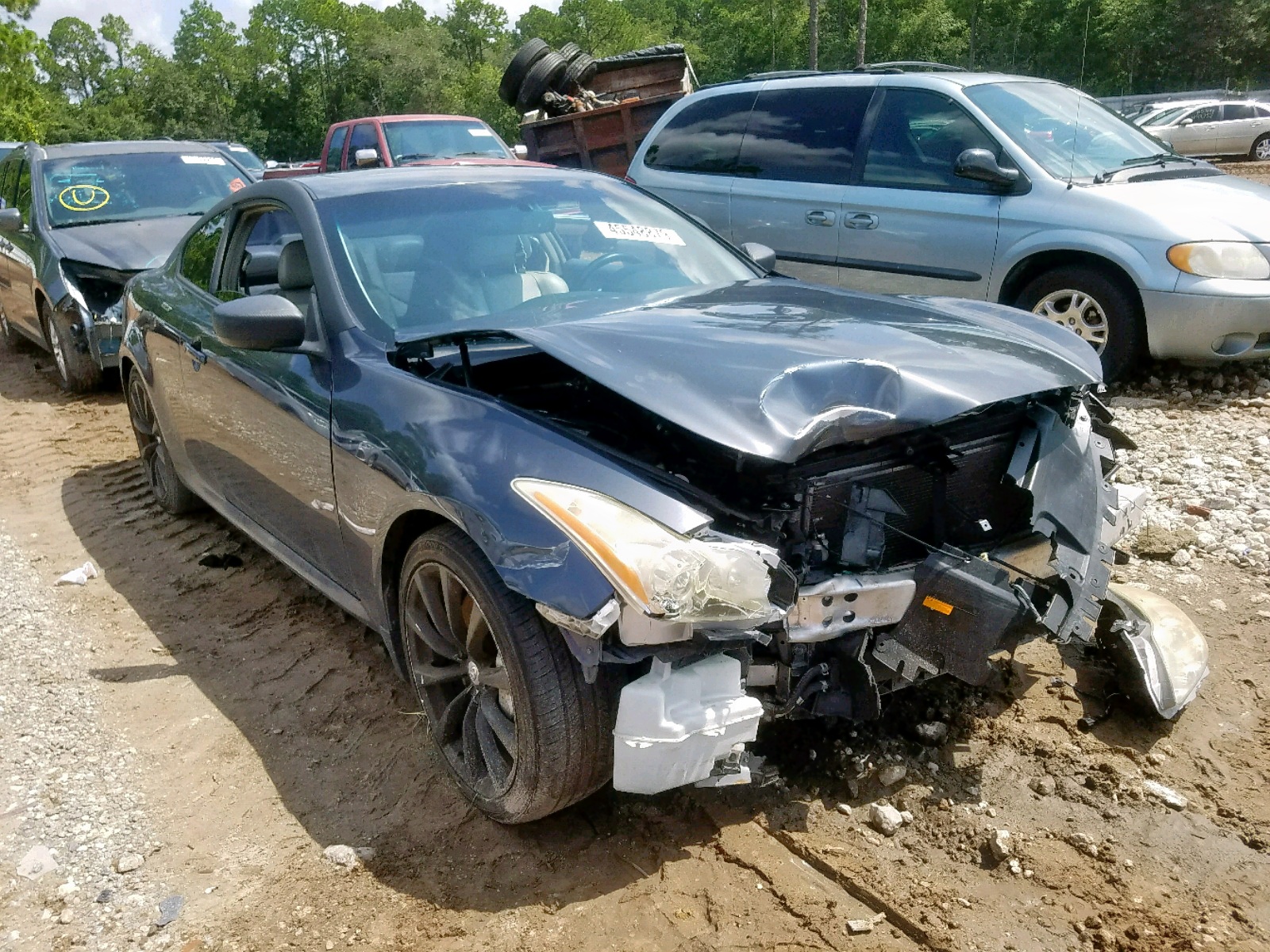 45548879