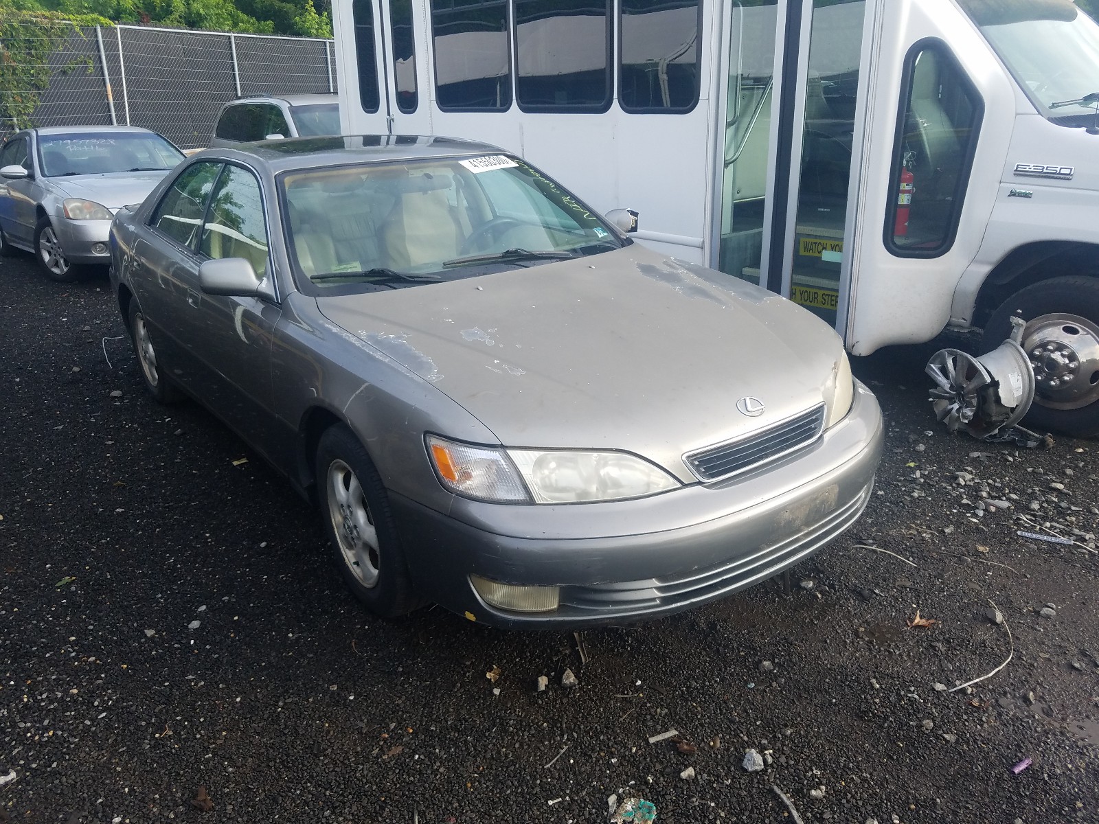 41550300