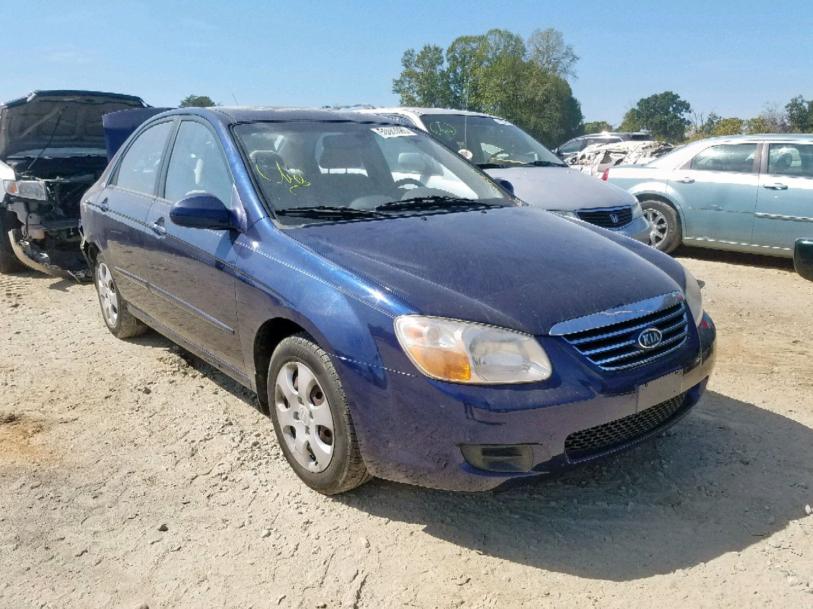 50063069