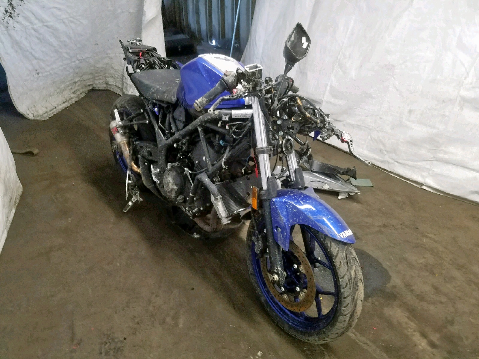 51296779