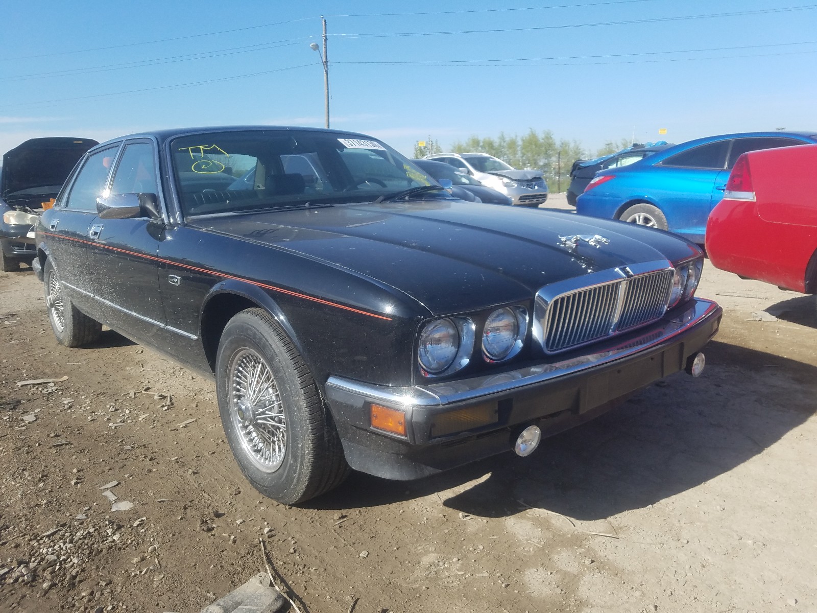 37143130