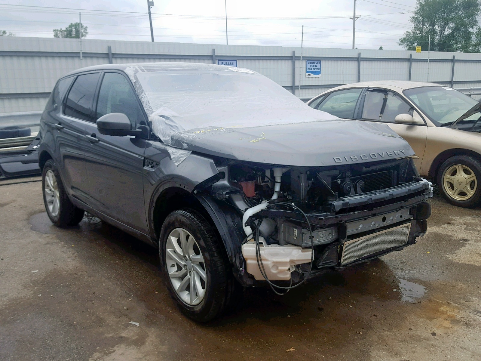 46845159