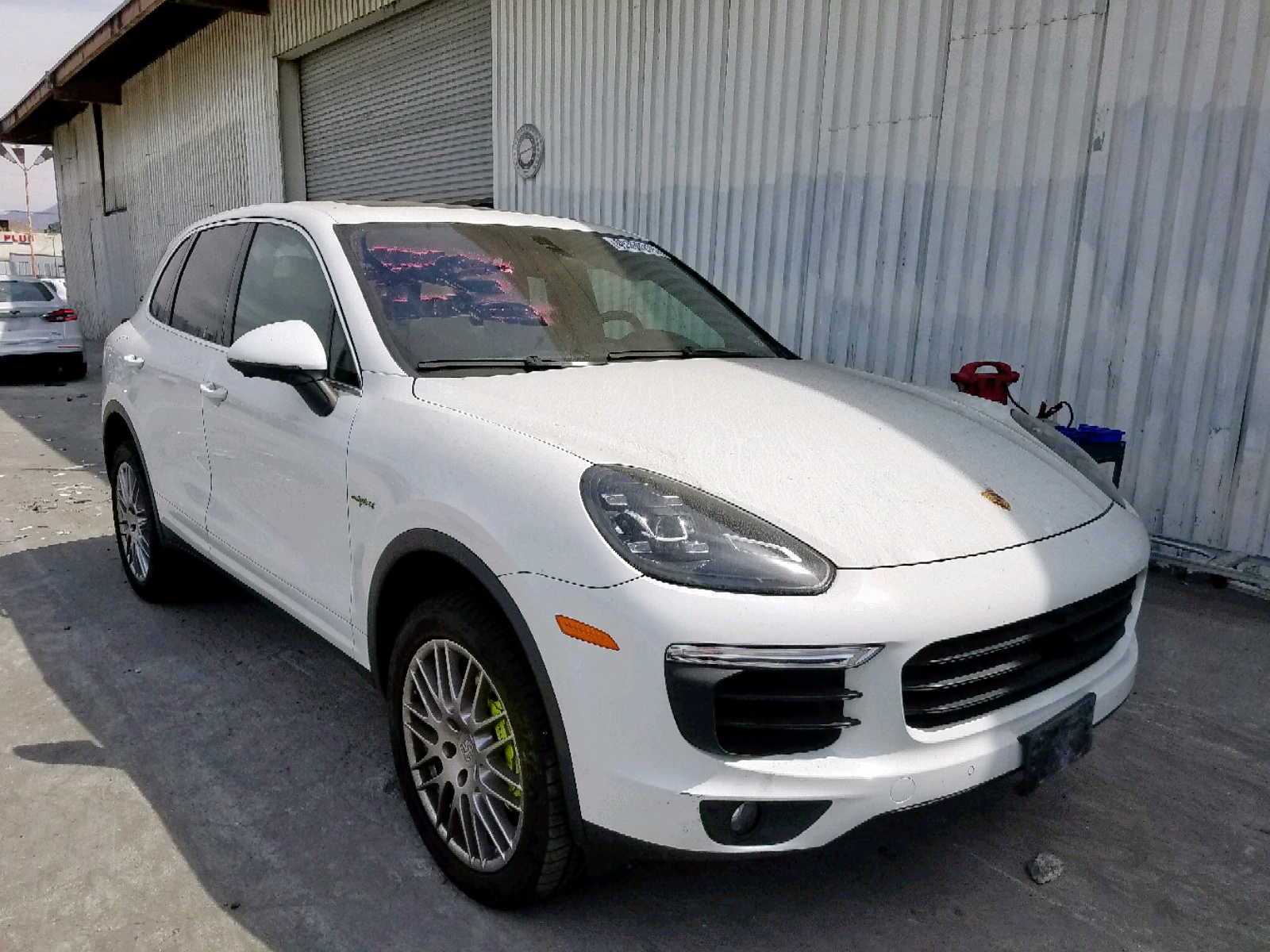 49350219