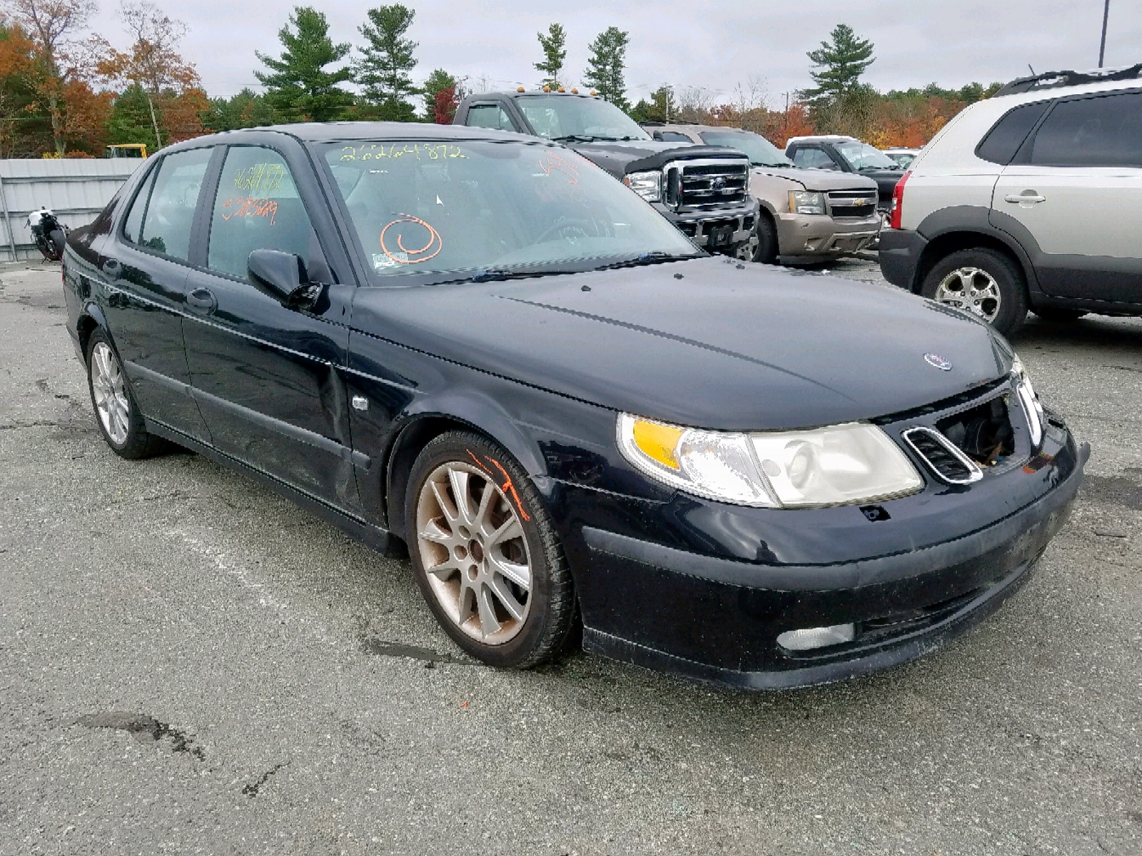 53813229