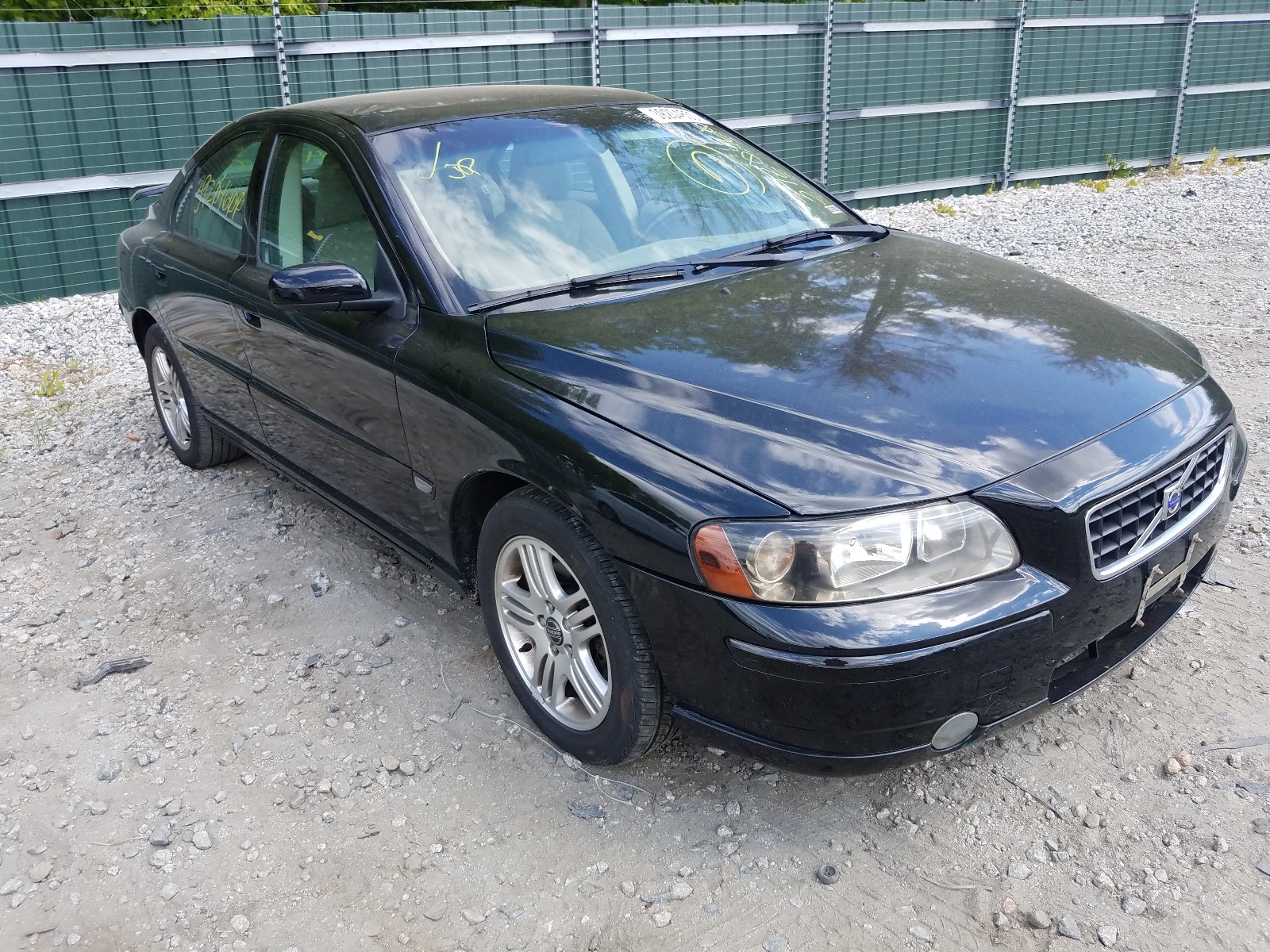 39204600